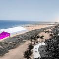 past - artfairs - Exhibitions