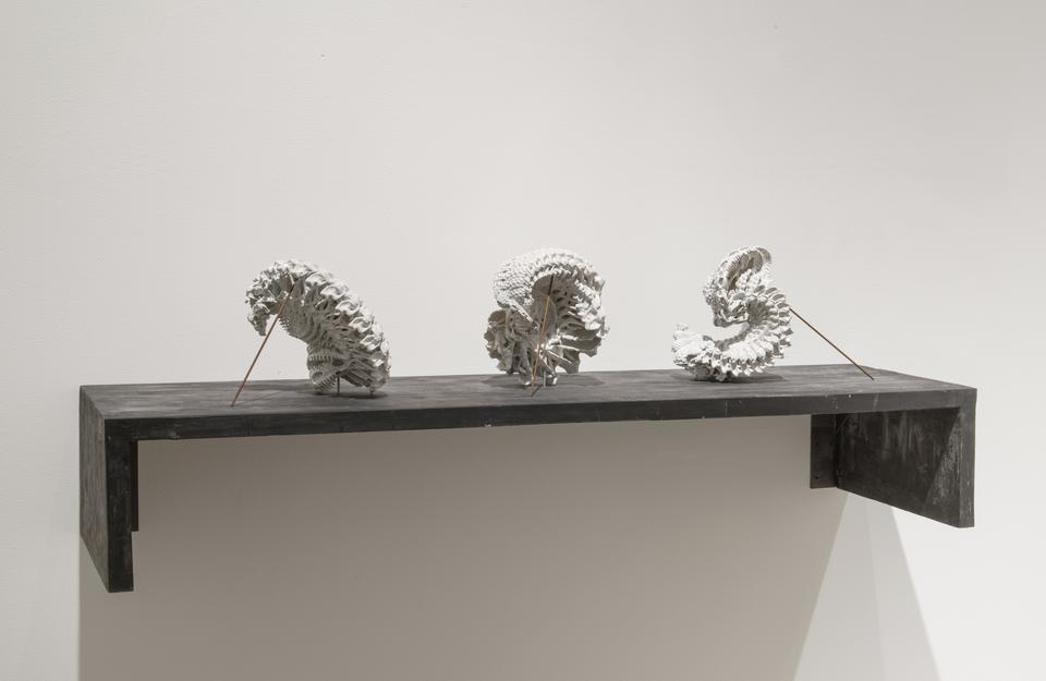 Motohiko Odani: Depth of the Body - Exhibitions
