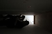 Agathe Snow: Coyote Ugly - Project Space - Exhibitions