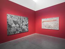 Ena Swansea: New Paintings - Exhibitions