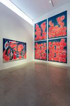 Timothy Curtis installation image