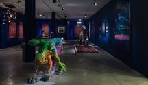 Under the Night Sky - Exhibitions